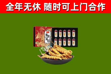 汶川县回收冬虫夏草价格